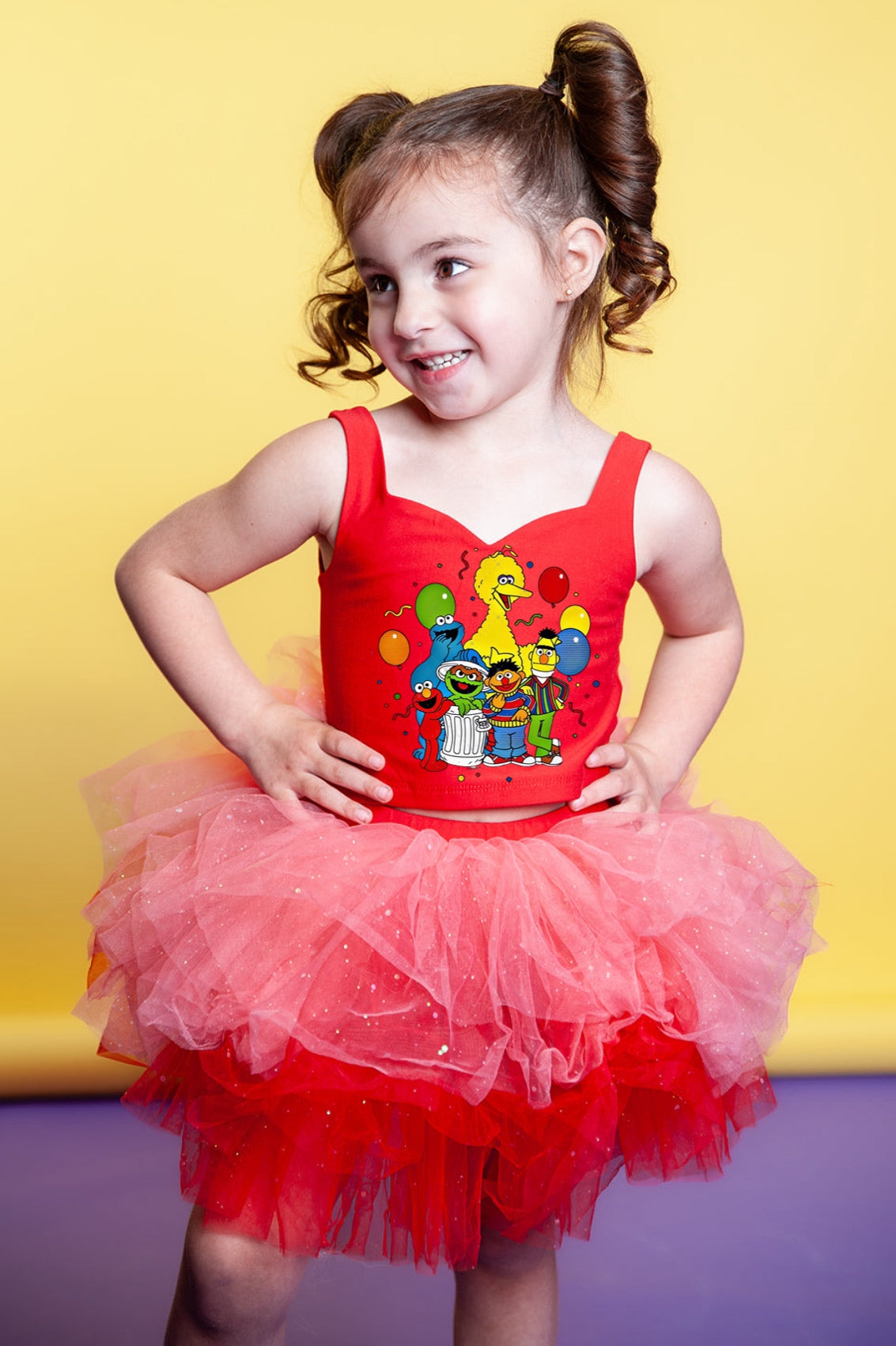 Sesame Street friends tutu set