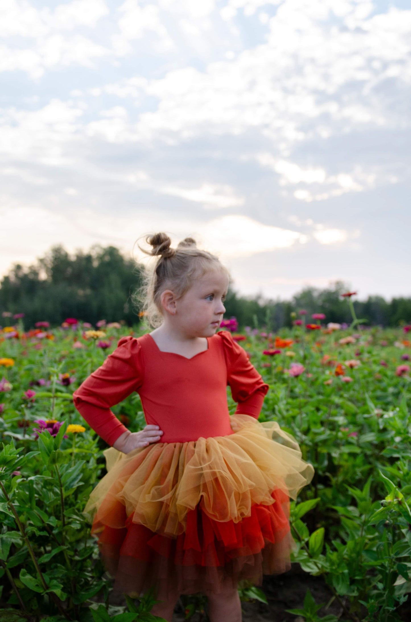 Rust tricolor soft tulle tutu Leo
