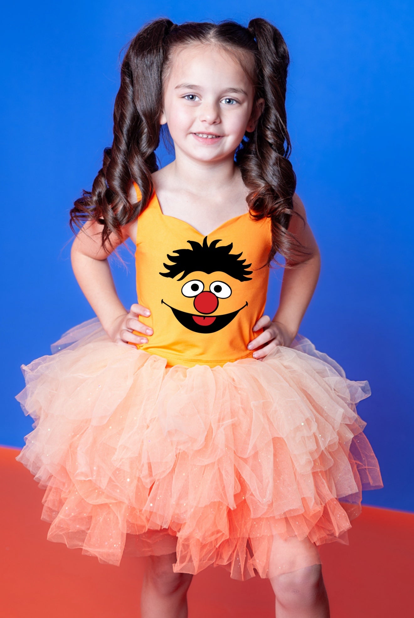 Sesame Street Bert tutu set