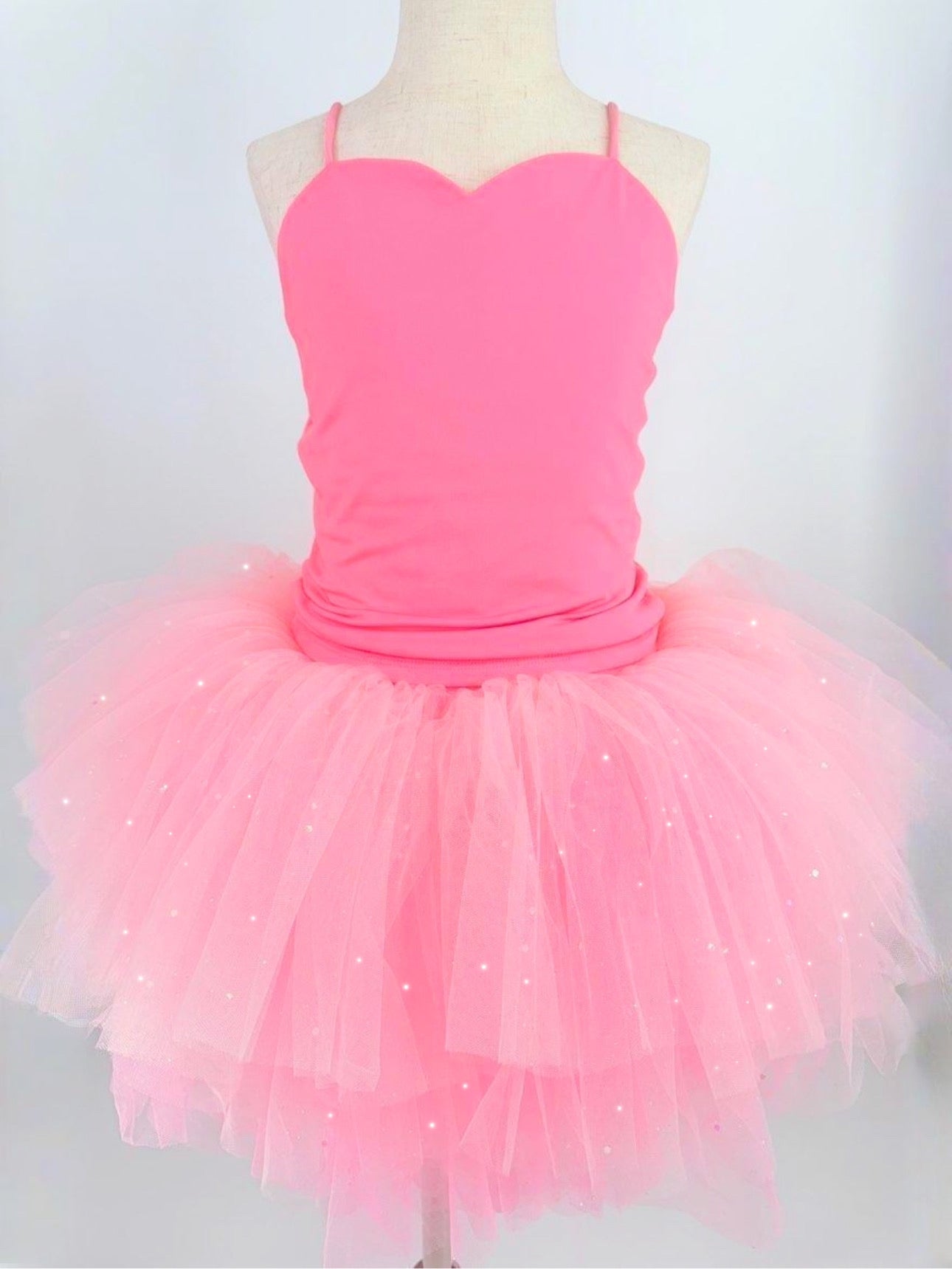 Berry first birthday Minnie embellishments on tulle and top, on a ombré pink soft tulle two piece tutu set