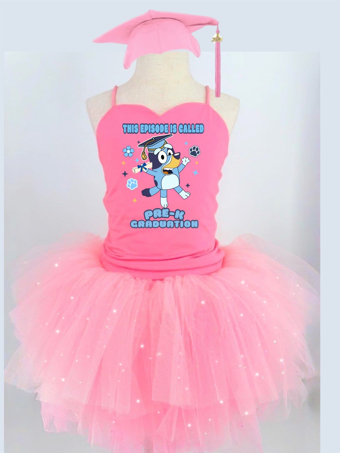 Bluey graduation ( any grade) two piece bamboo glitter soft tulle teal or pink