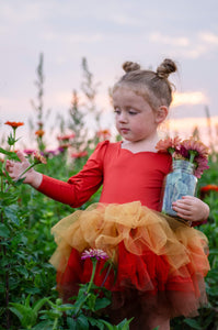 Rust tricolor soft tulle tutu Leo