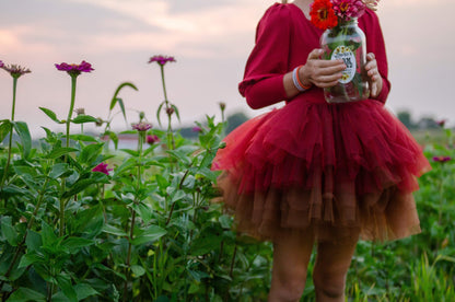 Wine ombré soft tulle tutu Leo