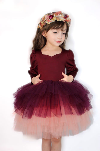Wine, plum, pink soft tulle tutu Leo