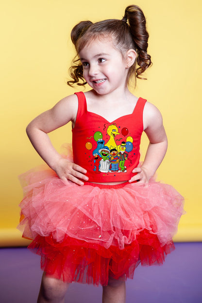 Sesame Street friends tutu set