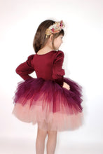 Load image into Gallery viewer, Wine, plum, pink soft tulle tutu Leo