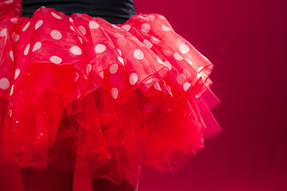 Red Minnie two piece tutu set full coverage