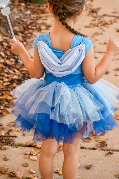 Ice sister inspired tutu leotard