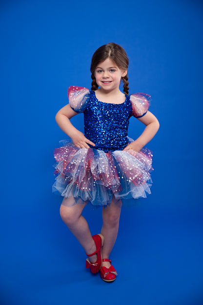 Blue sequin sheer puff sleeve 4 of July TOP ONLY NO TUTU