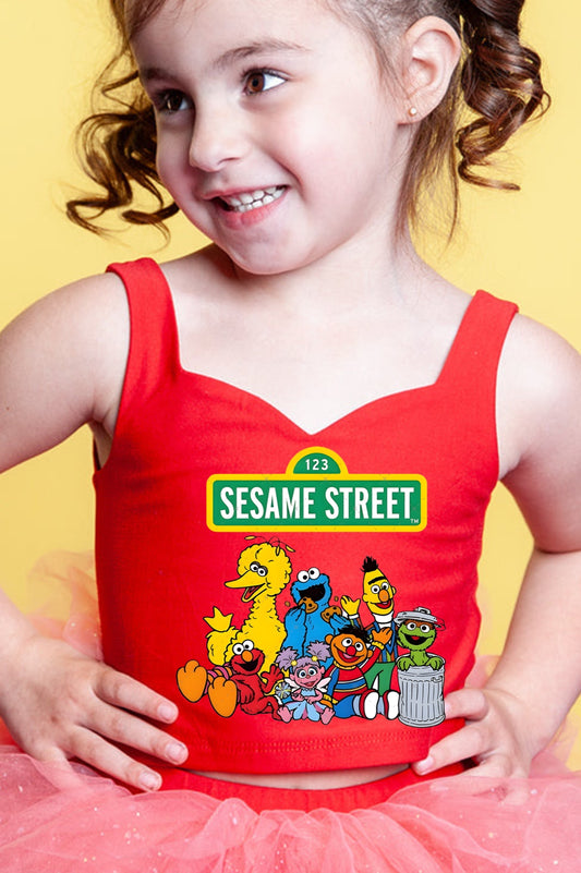 Sesame Street tutu set