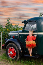 Load image into Gallery viewer, Rust tricolor soft tulle tutu Leo