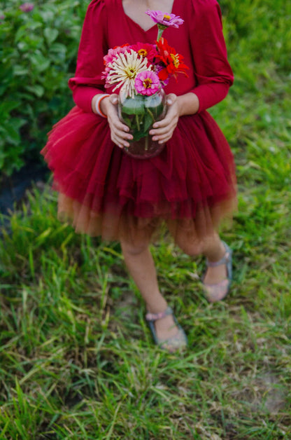 Wine ombré soft tulle tutu Leo