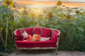 Rust tricolor soft tulle tutu Leo