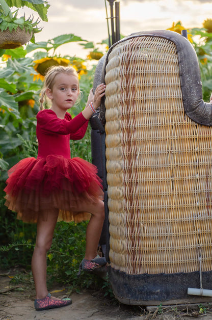 Wine ombré soft tulle tutu Leo