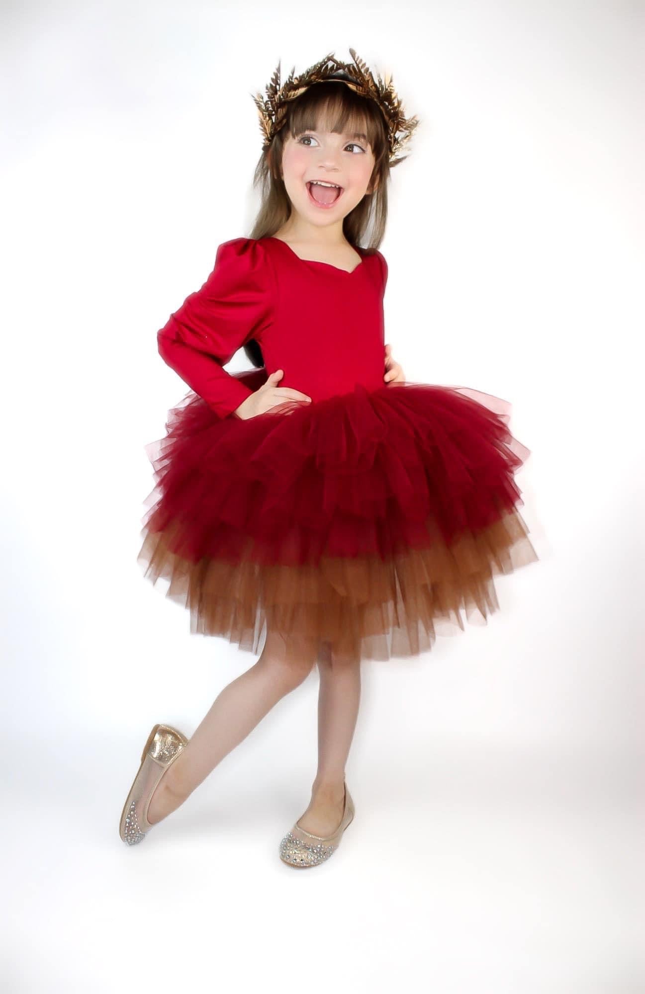 Wine ombré soft tulle tutu Leo