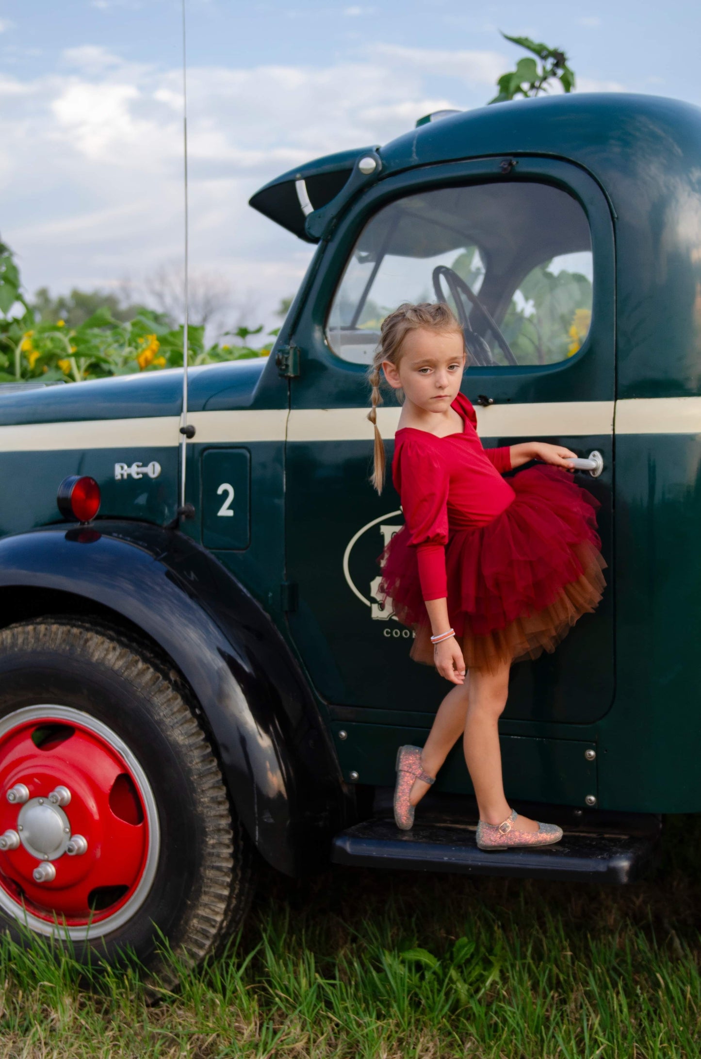 Wine ombré soft tulle tutu Leo