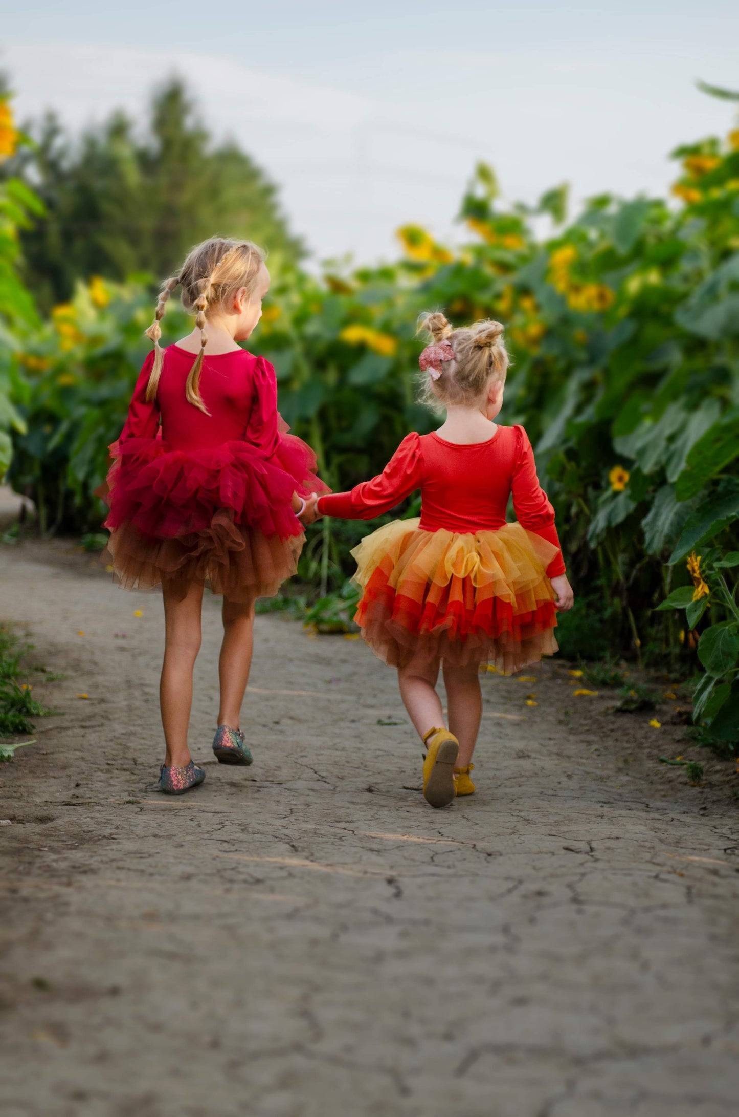 Wine ombré soft tulle tutu Leo