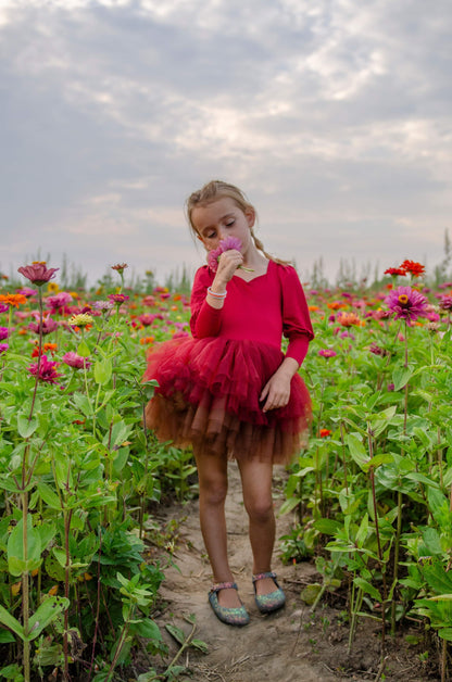 Wine ombré soft tulle tutu Leo