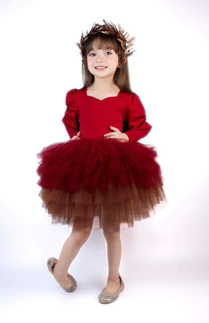 Wine ombré soft tulle tutu Leo