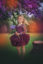 Load image into Gallery viewer, Plum lace soft tulle tutu Leo