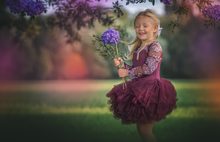 Load image into Gallery viewer, Plum lace soft tulle tutu Leo