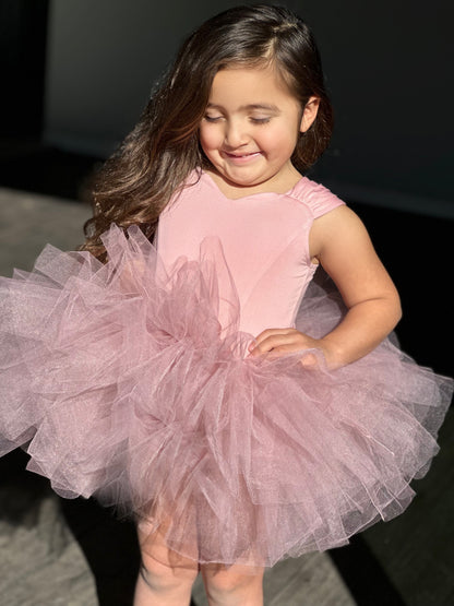 Bliss tutu leotard