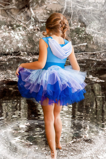 Ice sister inspired tutu leotard