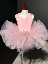 Load image into Gallery viewer, Bliss tutu leotard